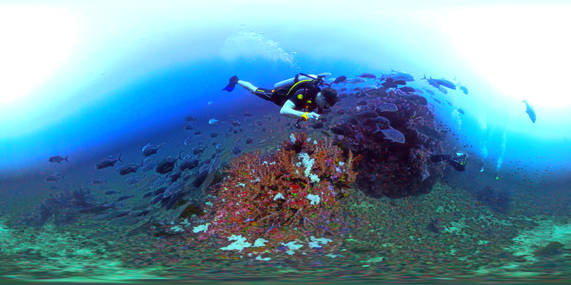 360 degree underwater panoramic view for immersive video production
