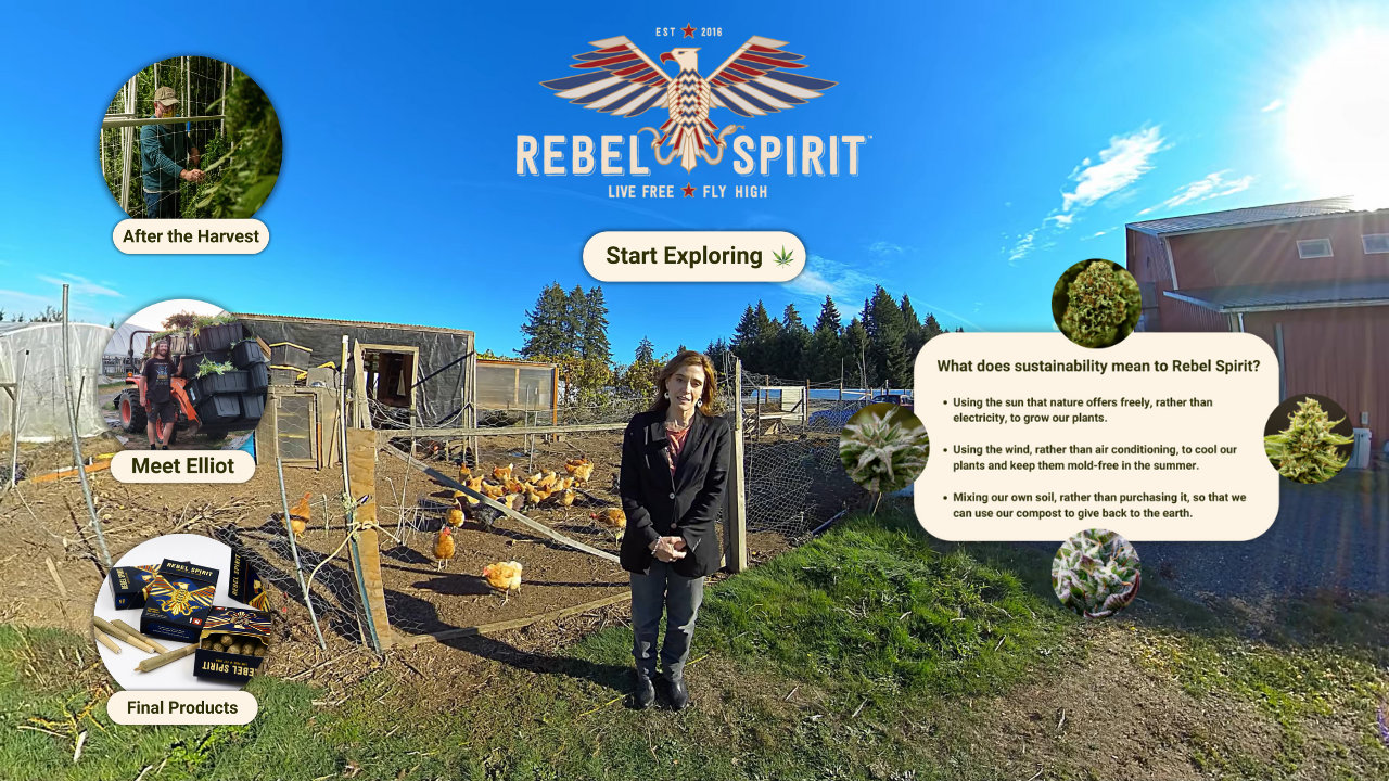 Interactive 360 virtual tour with hotspot navigation and embedded media